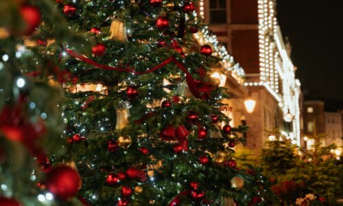 Sapin géant illuminé en extérieur